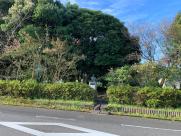 大きな樹木や花が咲いている木々に囲まれたなかに青い銅像が置いてある写真