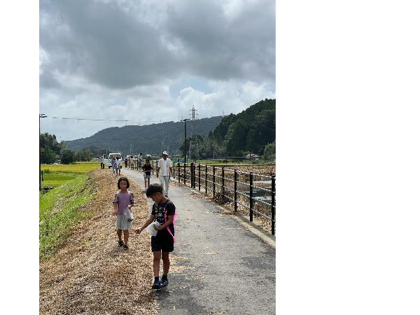 岩渕大池周辺でのコスモス種まき