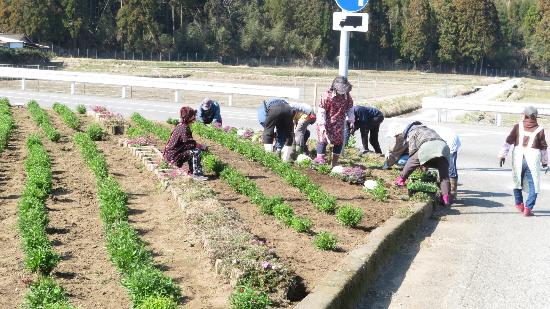 岩渕地区の植栽活動の様子