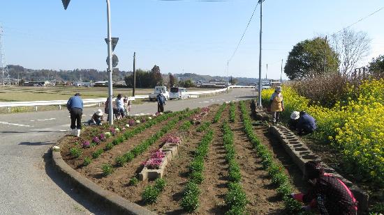 岩渕地区の植栽活動の様子