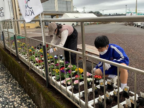 花の植栽