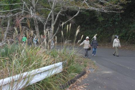 森の坂道を複数の男女が登っている写真