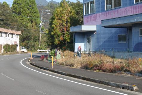 男女二人が道路の脇の草を刈っている写真