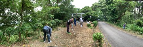 アスファルトの横の鳥居に続く土の道を掃除する人たちの写真