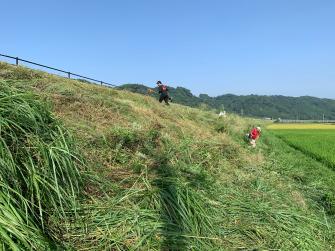 大勢の斜面を草刈り機で草を刈っている写真