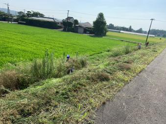 田んぼのヘリを男性が草刈りしている写真