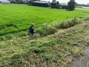 男性が畑で草刈りをしている写真