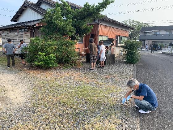 地区清掃活動