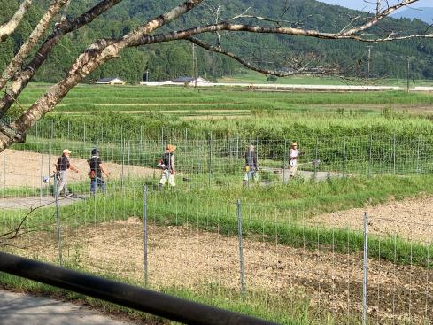 男性5人が草刈り機を片手に田んぼ道を歩いている写真