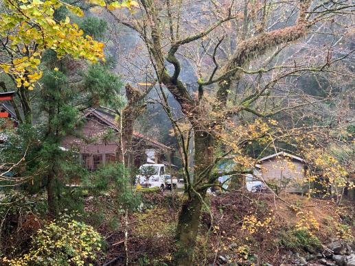 木で囲まれたなかに神社がありその隣に軽トラックが停まっている写真