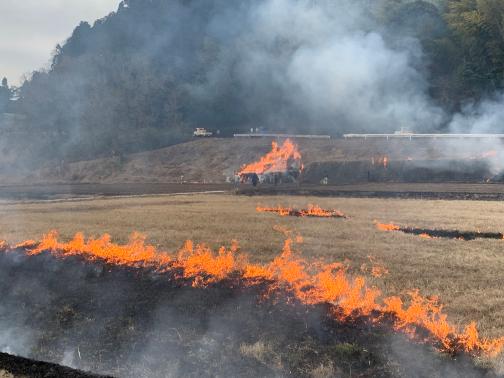 田畑で赤い炎が広がっており森の手前でより大きな炎が燃え盛っている写真