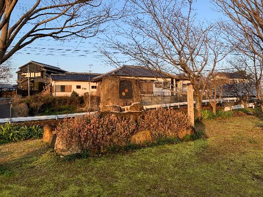 朝日の中の新校舎