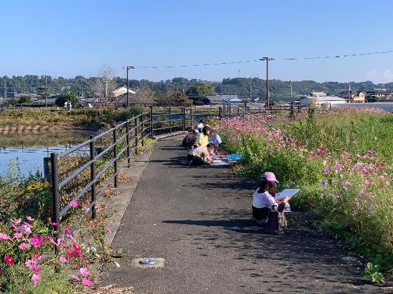 岩渕大池コスモススケッチ大会