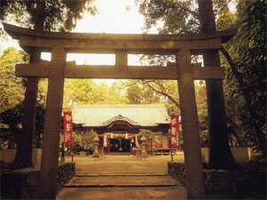 神社の鳥居があって奥に社殿があり両脇にのぼりが立っている写真