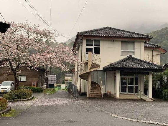 石河内公民館の桜