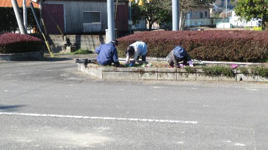 岩渕地区の植栽の様子