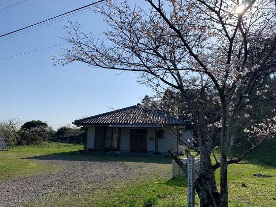 新岩戸公民館の桜