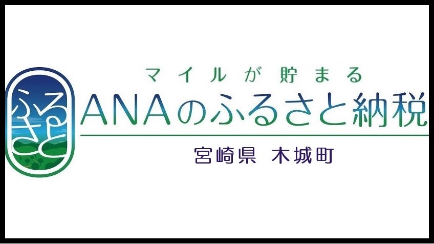 ANAのふるさと納税