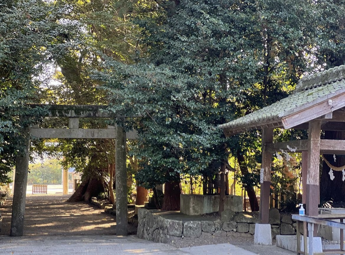 西日が差した神社の鳥居の風景