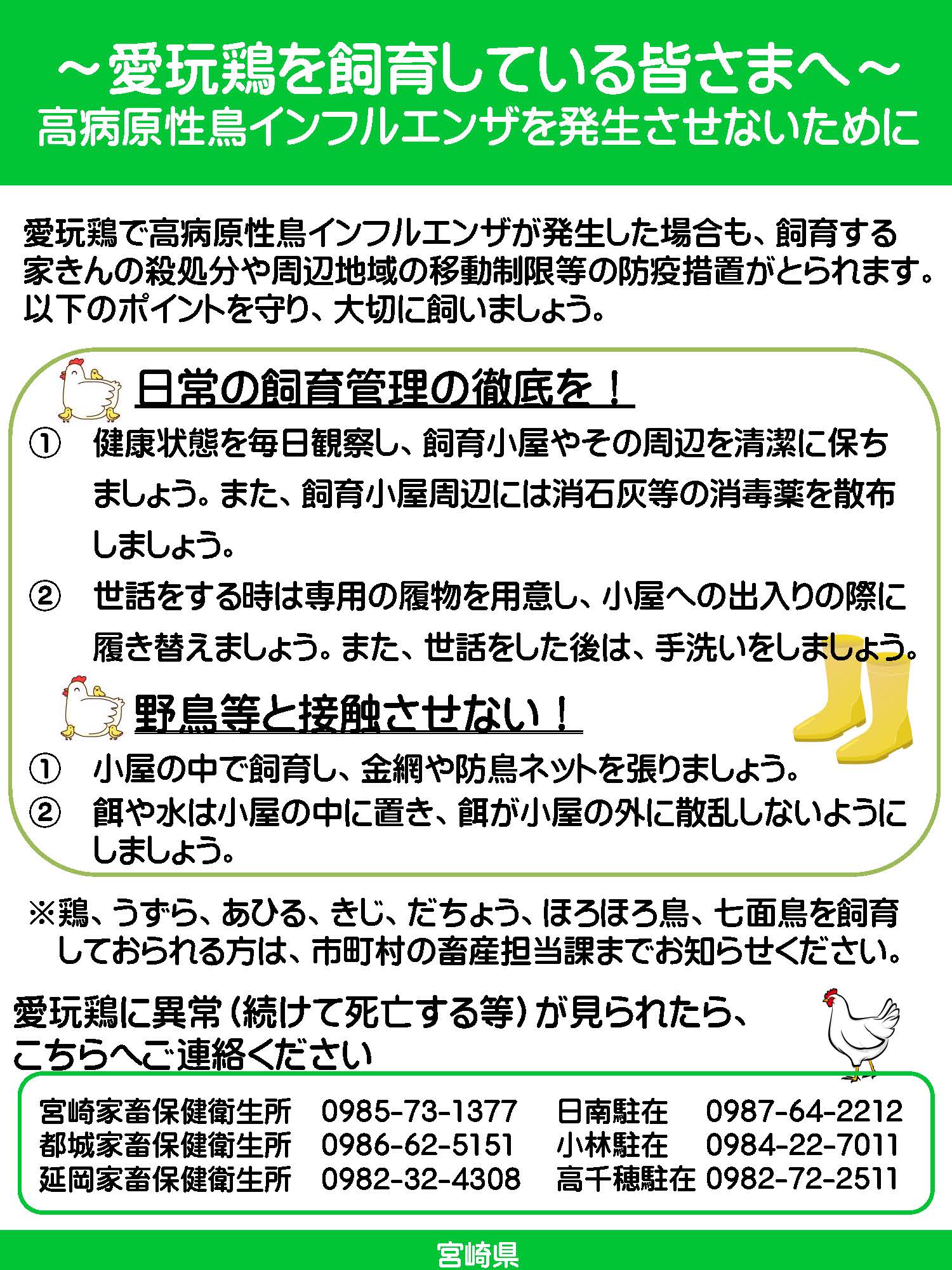 注意喚起のチラシ 愛玩鶏を飼育している皆さまへ 高病原性鳥インフルエンザを発生させないために